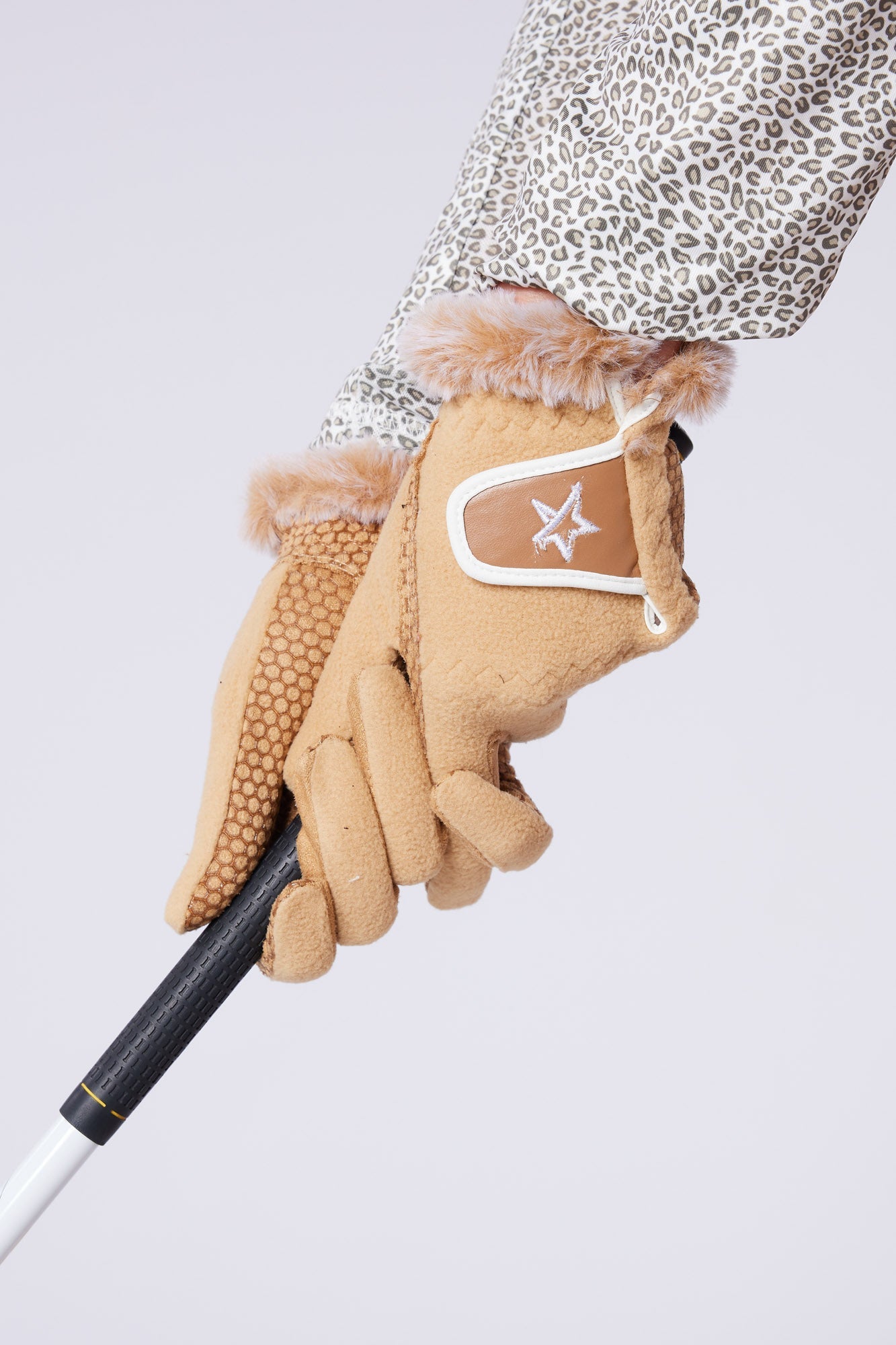 #colour_gilded-beige