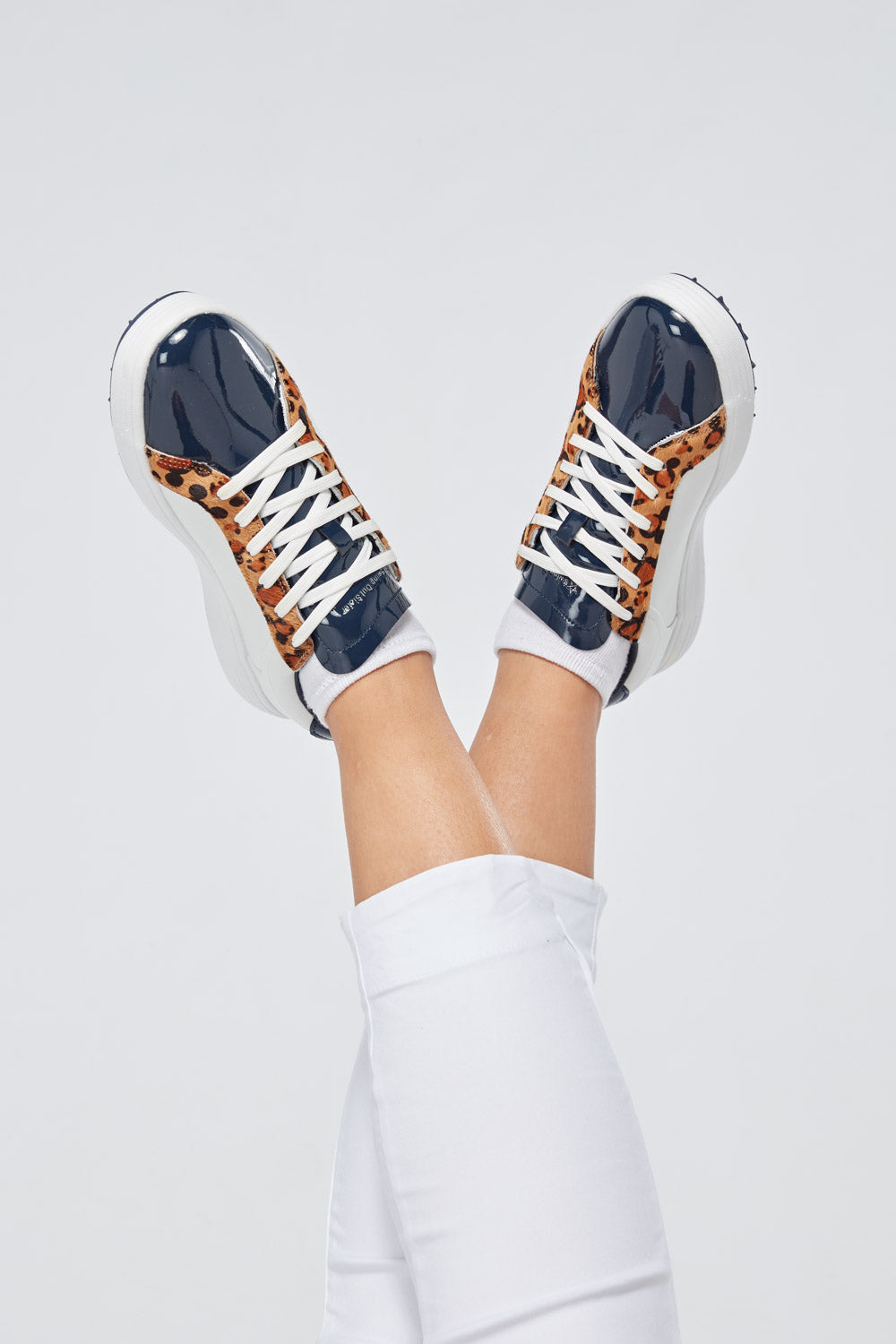 #colour_navy-animal