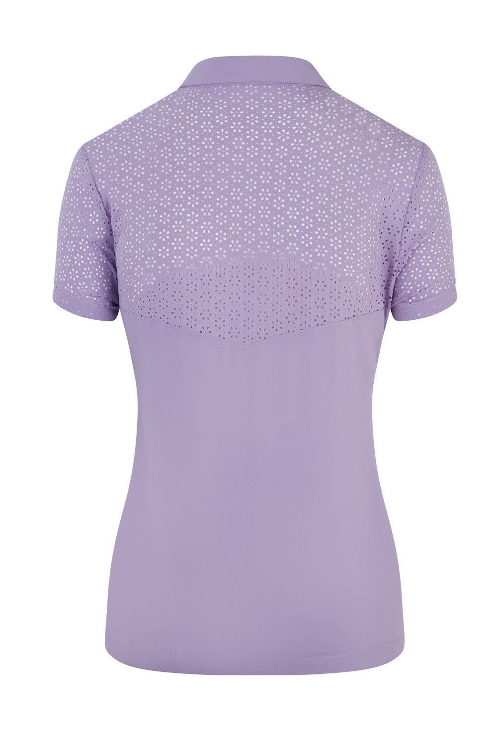 #colour_digital-lavender